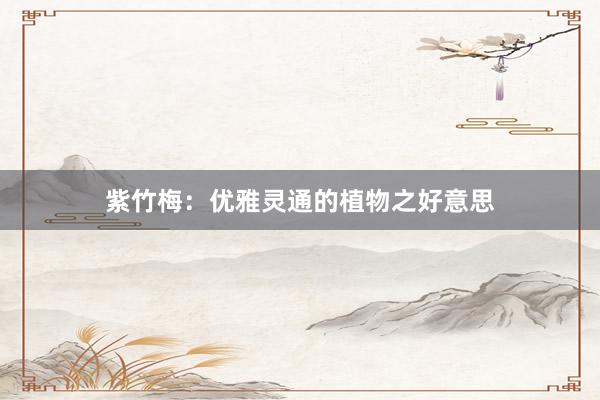 紫竹梅：优雅灵通的植物之好意思