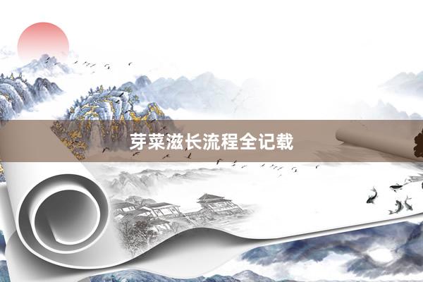 芽菜滋长流程全记载