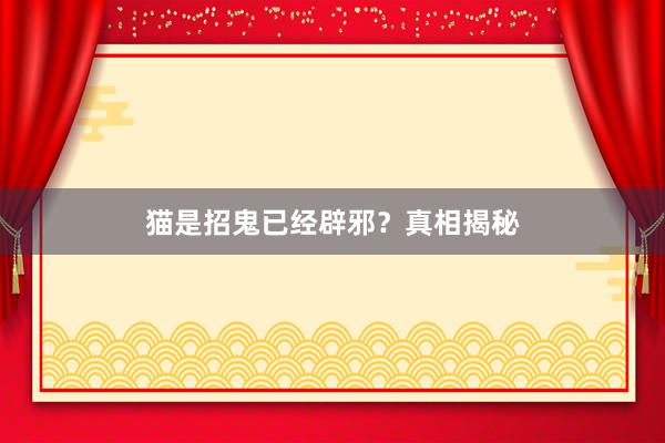 猫是招鬼已经辟邪？真相揭秘