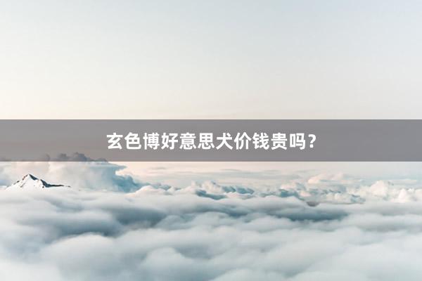 玄色博好意思犬价钱贵吗？