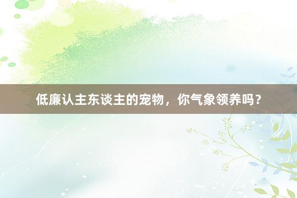 低廉认主东谈主的宠物，你气象领养吗？