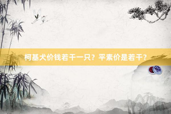 柯基犬价钱若干一只？平素价是若干？